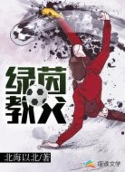 绿茵教父