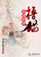 在异世界撸猫