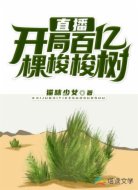 直播:开局百亿棵梭梭树