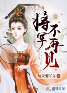 将军不再见