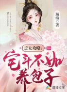 庶女攻略:宅斗不如养包子