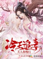 冷王追妻:夫人你慢行