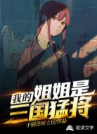 都市:我的姐姐是三国猛将