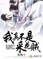 我真不是采花贼