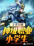 王者荣耀:神级职业小学生
