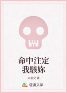 命中注定我駭妳