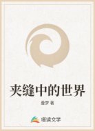 夹缝中的世界