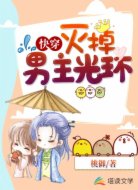 快穿：灭掉男主光环