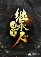 寻宝继承人