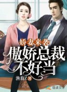 娇妻来袭：傲娇总裁太难当
