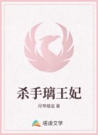 杀手璃王妃