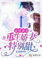 豪婚独宠：重生娇妻特别甜