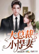大总裁,小悍妻