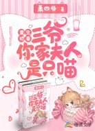 重生娇妻:三爷你家夫人是只喵
