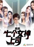 我的七个女神上司