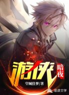 游侠:暗夜