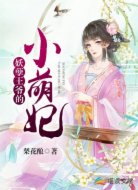 妖孽王爷的小萌妃