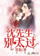 一语成谏:沈先生,别太过