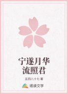 寧遂月華流照君