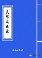 灵界风云录