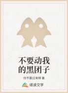 不要动我的黑团子