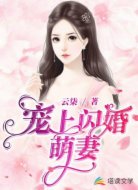 宠上闪婚萌妻