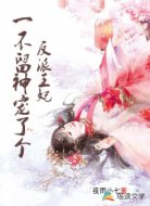 一不留神宠了个反派王妃