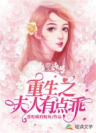 重生之夫人有點乖