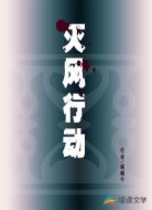 灭风行动