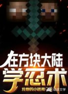 在方块大陆学忍术