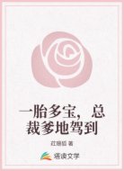 一胎多宝，总裁爹地驾到