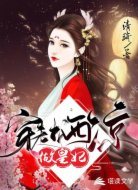 穿越西涼做皇妃