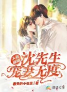 入骨暖婚：沈先生宠妻无度 