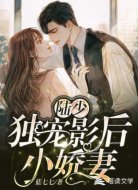 陆少独宠影后小娇妻