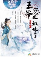 王爷,您又被休了
