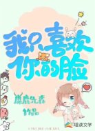 我只喜欢你的脸