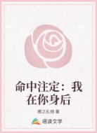 命中注定：我在你身后