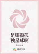 是哪颗孤独星球啊