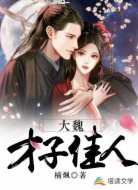大魏才子佳人