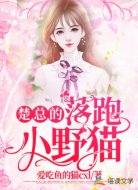 楚总的落跑小野猫