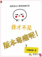 我才不是版本毒瘤呢