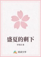 盛夏的剩下