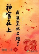 神官在上,咸鱼皇妃又跑了