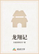 龙翔记