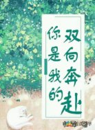你是我的双向奔赴