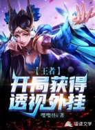 王者:开局获得透视外挂