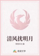 清风扰明月