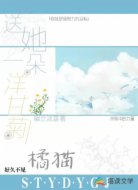 送她一朵洋甘菊