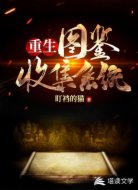 重生:图鉴收集系统