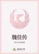 魏佳传